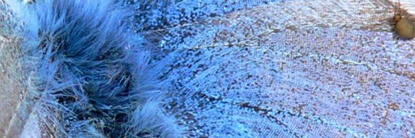 Fiona_Gavin Profile Banner