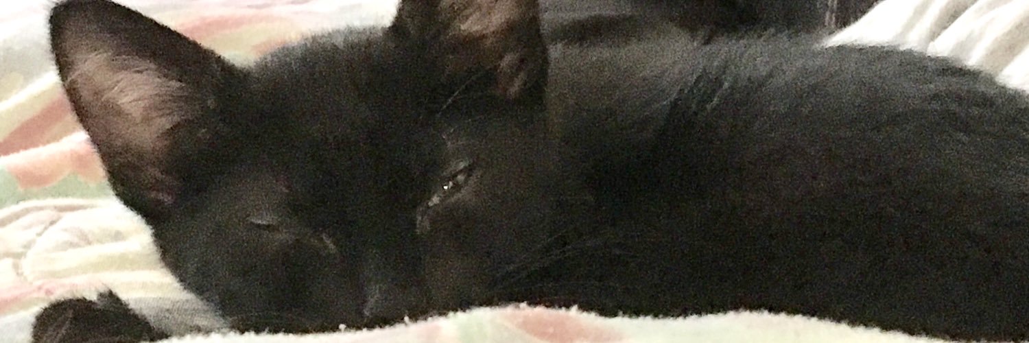 BanjoAndMom's profile banner image