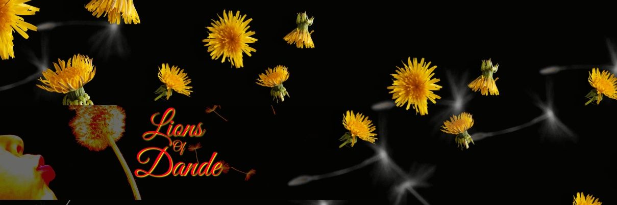 LionsofDande's profile banner image