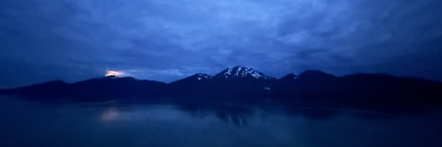 splishsplashdub's profile banner image