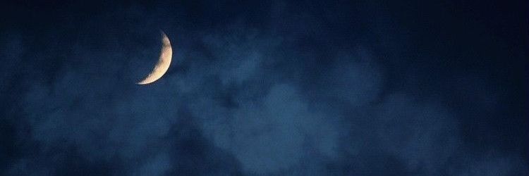Nef_Cee's profile banner image