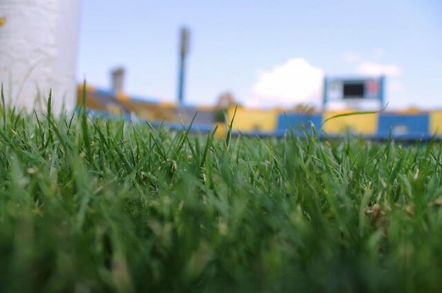 ramoneroeze's profile banner image
