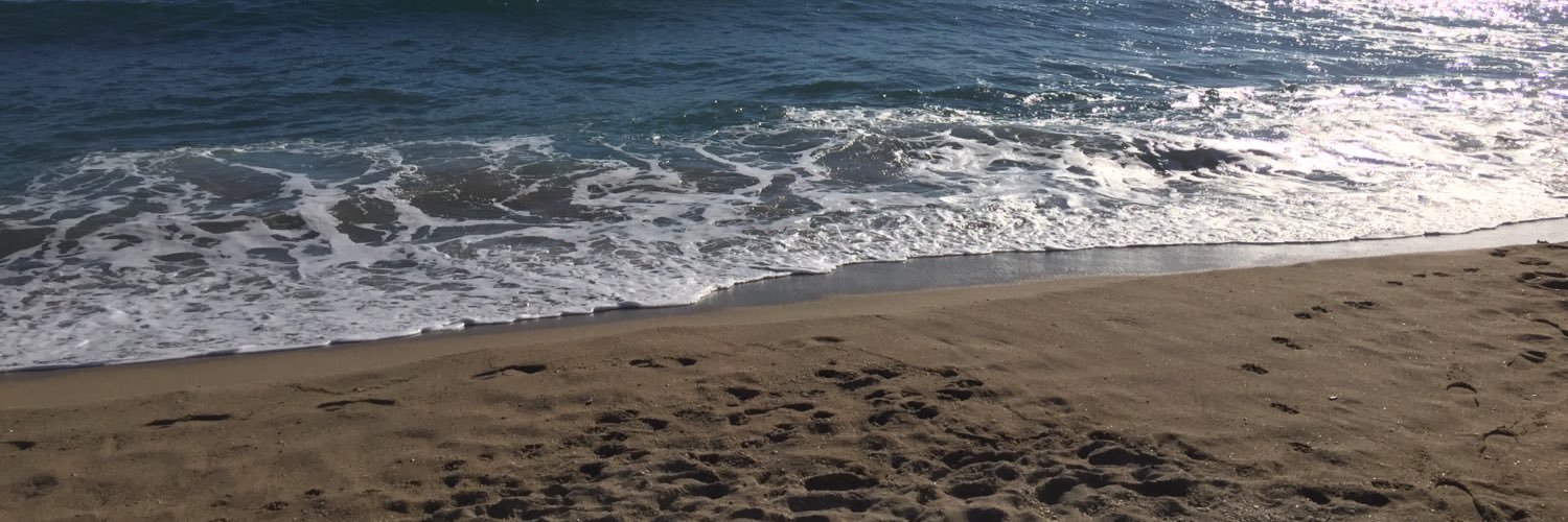 lauraravaleando's profile banner image