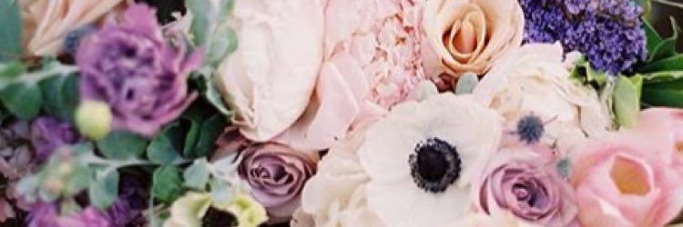 absterthebabe's profile banner image