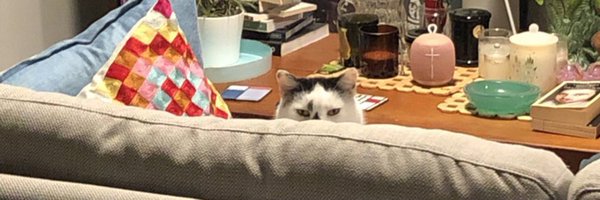 irisshackleton Profile Banner