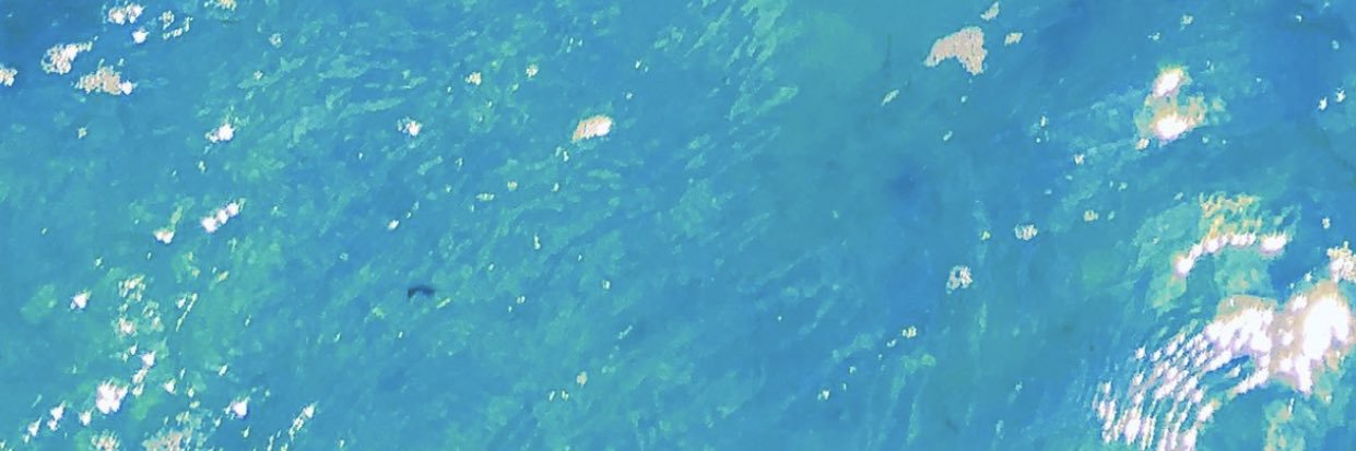 nbwjfi's profile banner image
