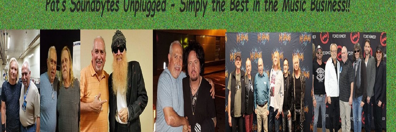 Patrick Calamari banner