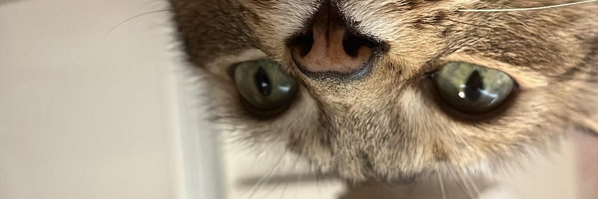 HannaFv13's profile banner image