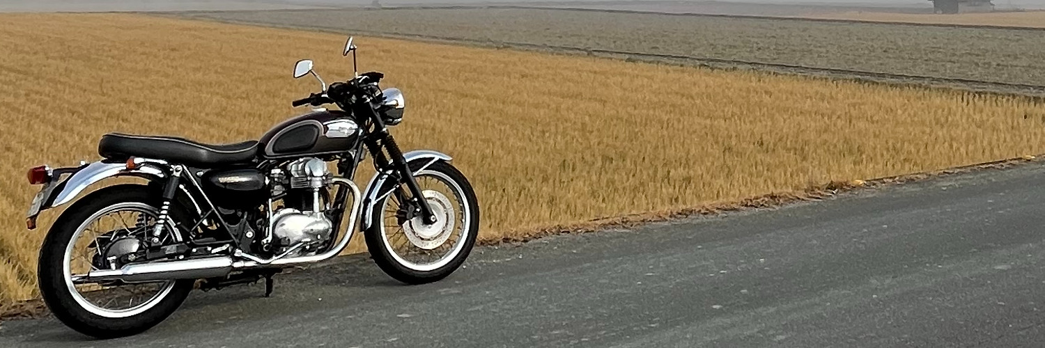 tora114_ ㊳ 👹🕶️🧡🐯 banner