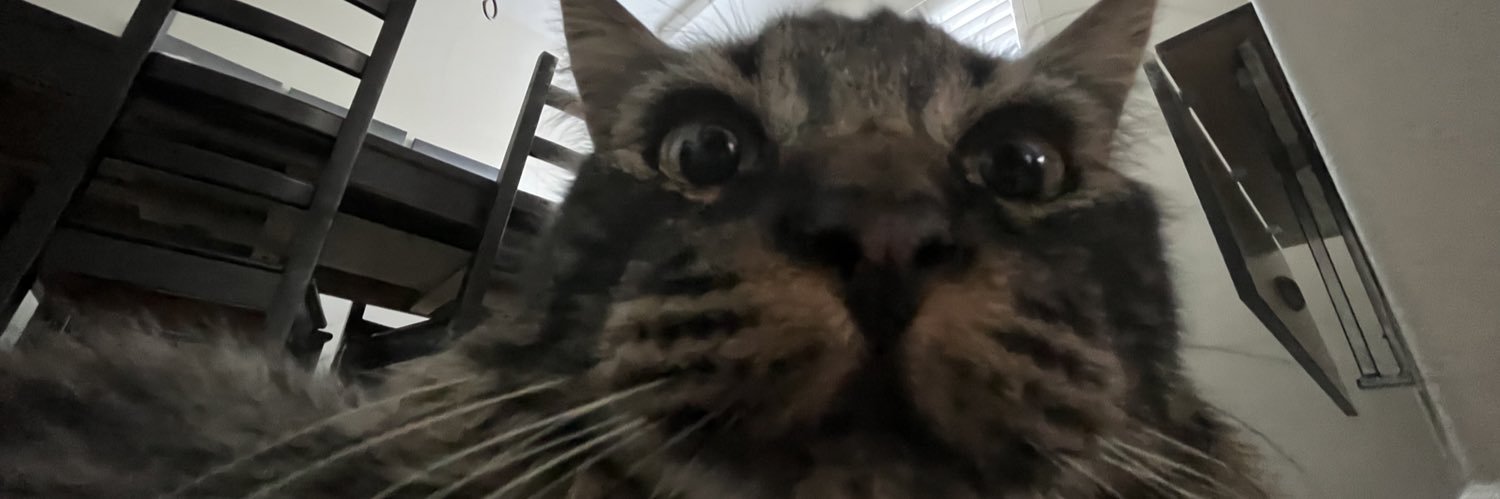bootymelons's profile banner image