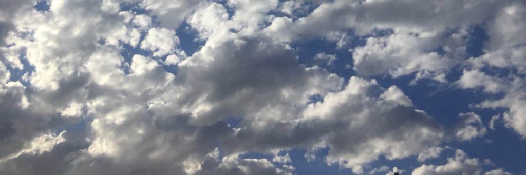NotSoThugLife's profile banner image