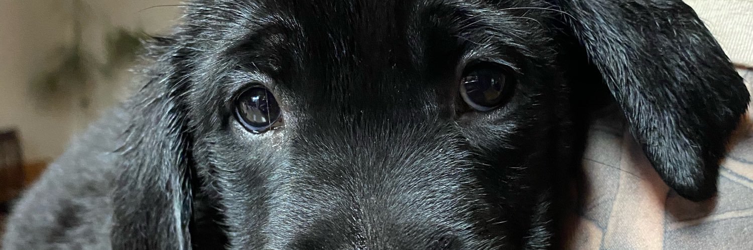 AirORourke's profile banner image