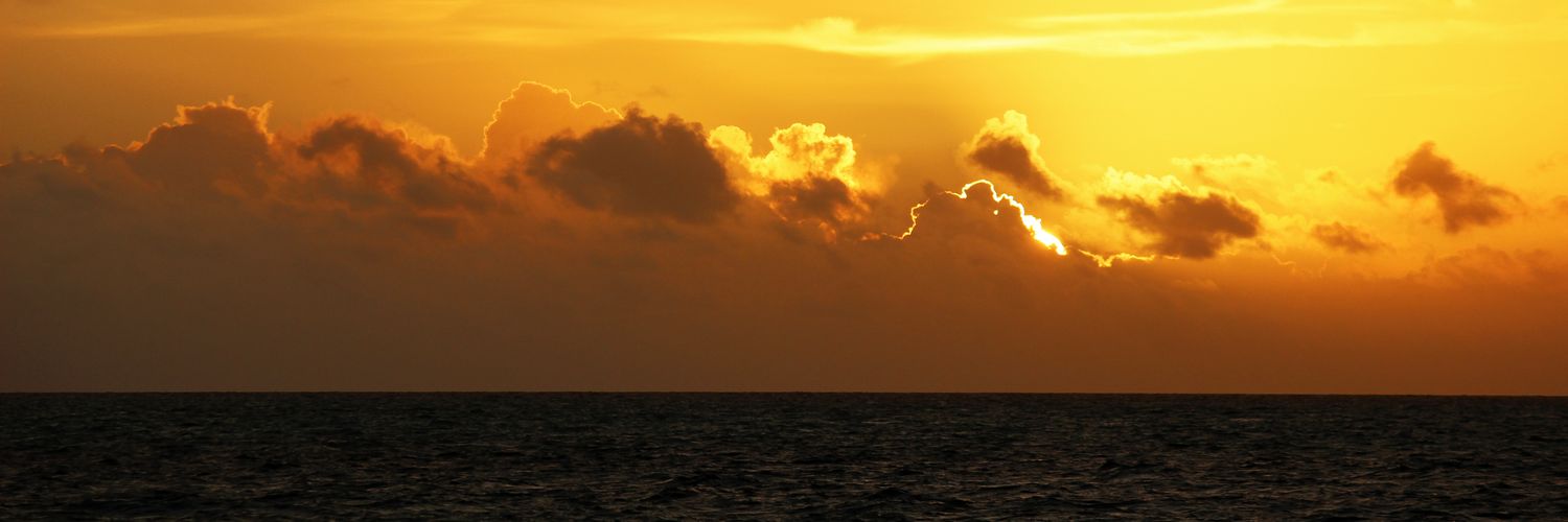 Dewsdrop's profile banner image