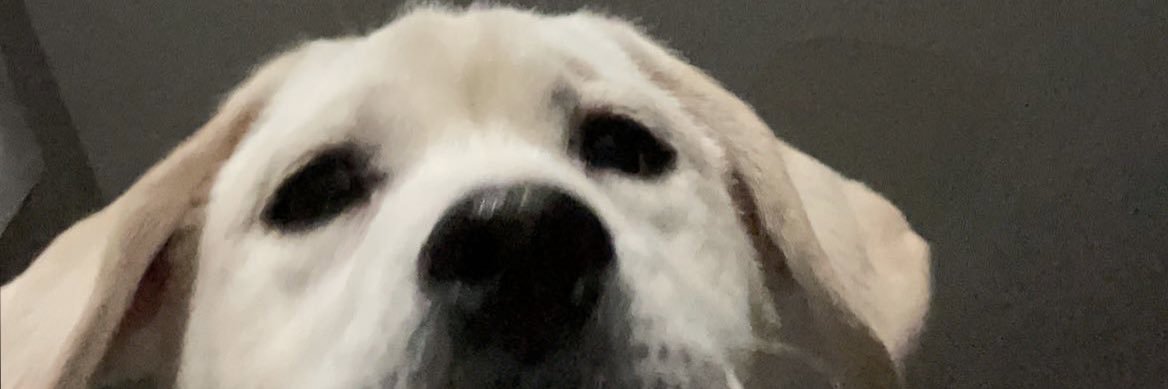 cowlick33's profile banner image