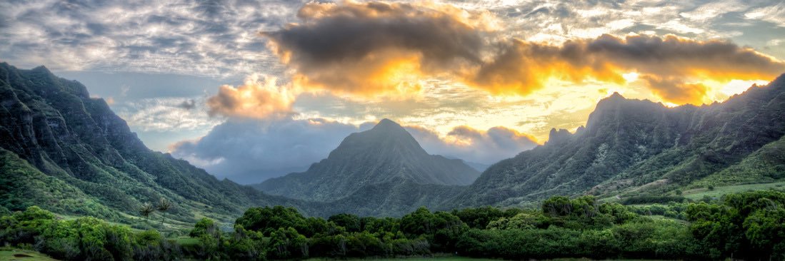 Court Rustemeyer banner
