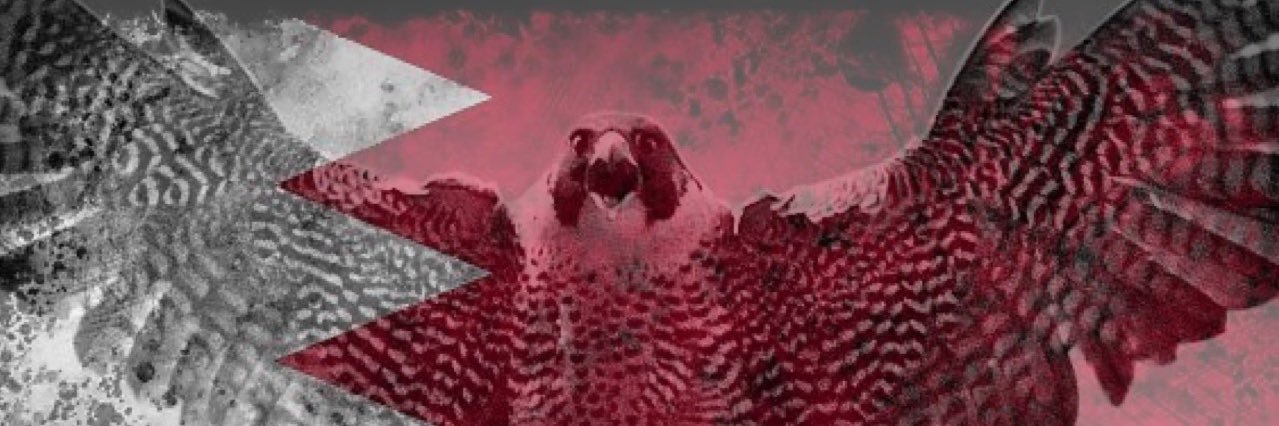 Grayson169's profile banner image