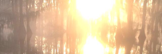 tmstanfield4's profile banner image