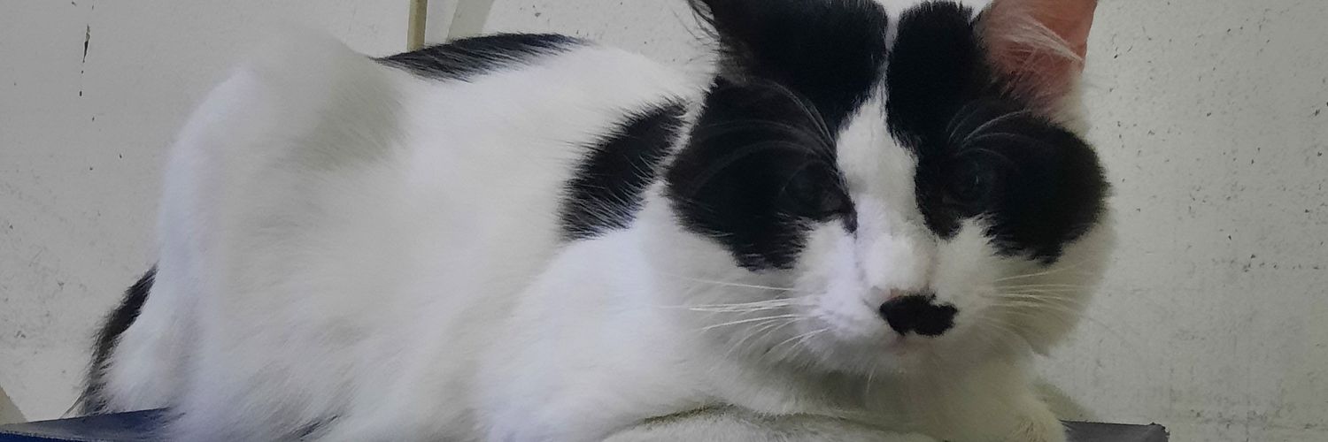 fifipakeF's profile banner image