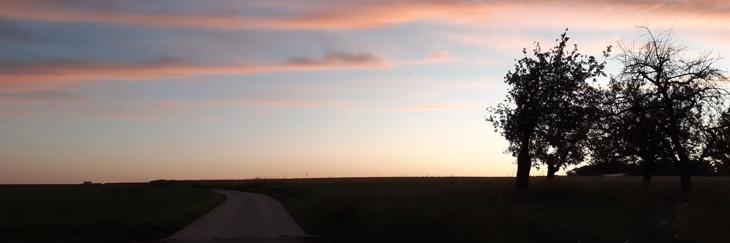 sho_tabi's profile banner image