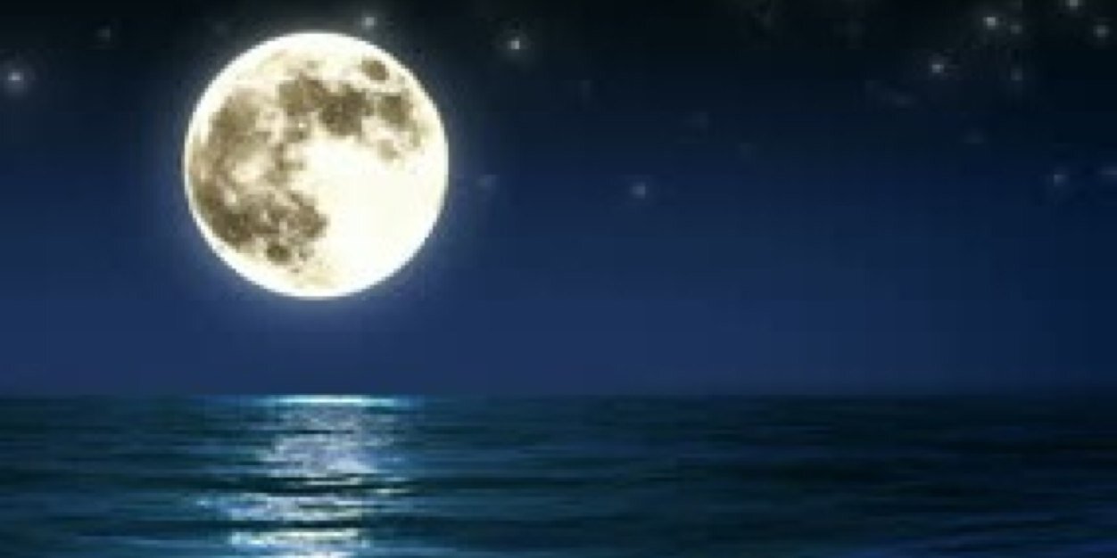 luna_creciente's profile banner image