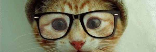 _steffieweffie_ Profile Banner