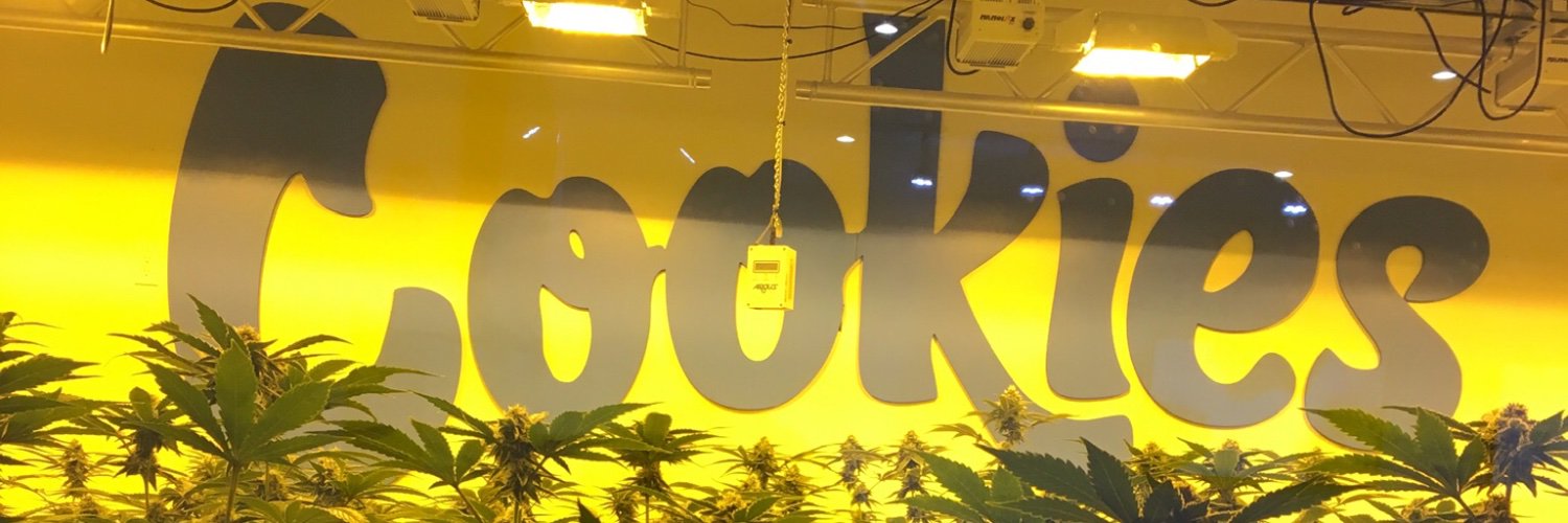 Sherrod_74's profile banner image
