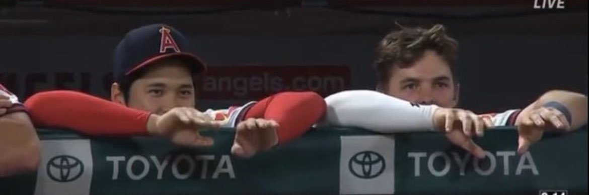 年齢はただの数字です banner