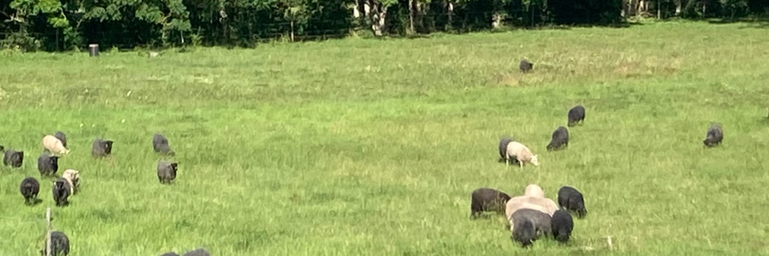 Franska Kompaniet banner