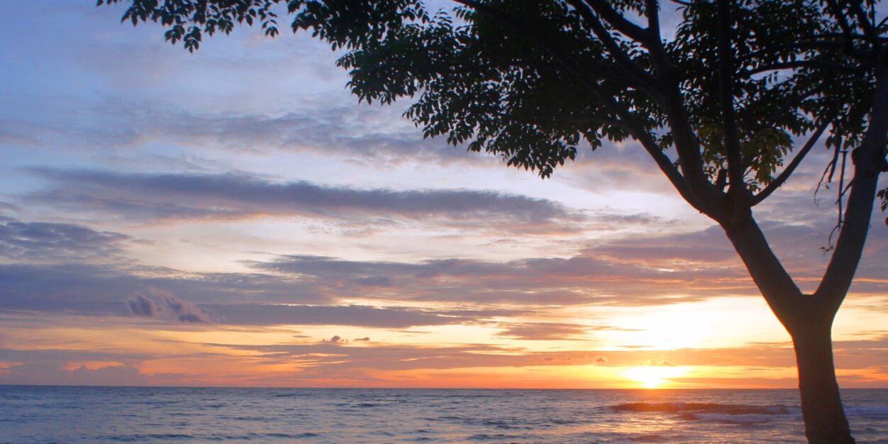 ankgaS's profile banner image
