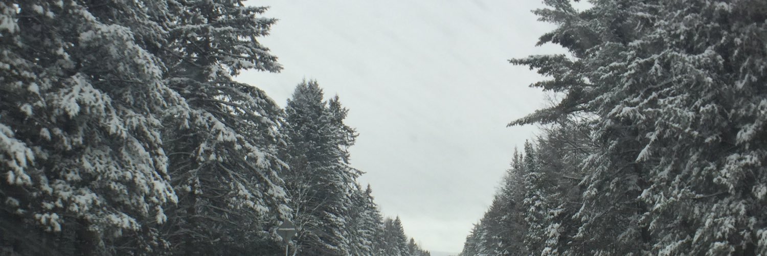 dennyweekes's profile banner image