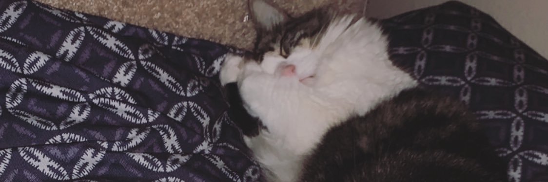 Kayliekayy's profile banner image