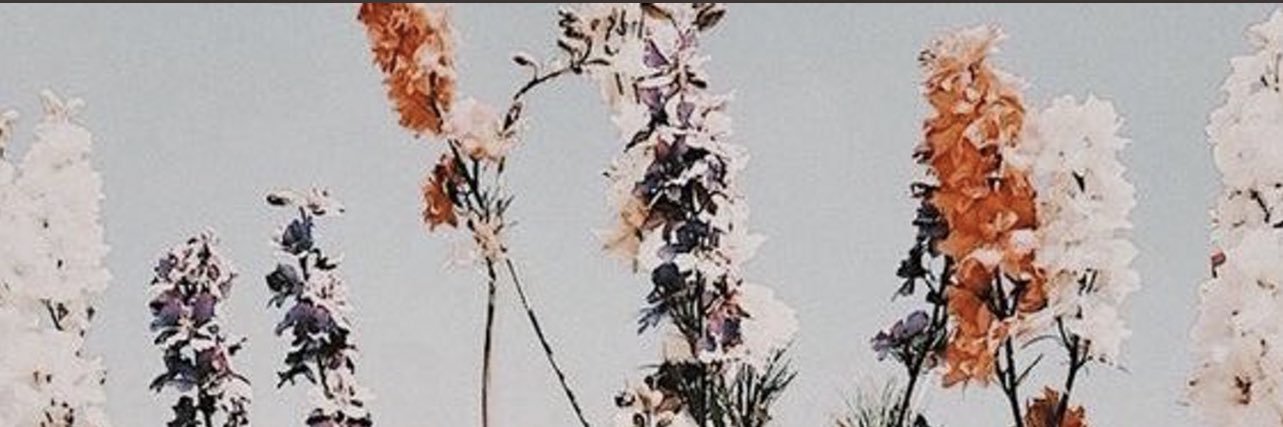 Bethhh27's profile banner image