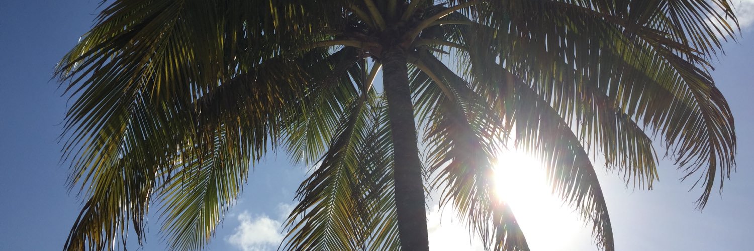 BDaswani's profile banner image