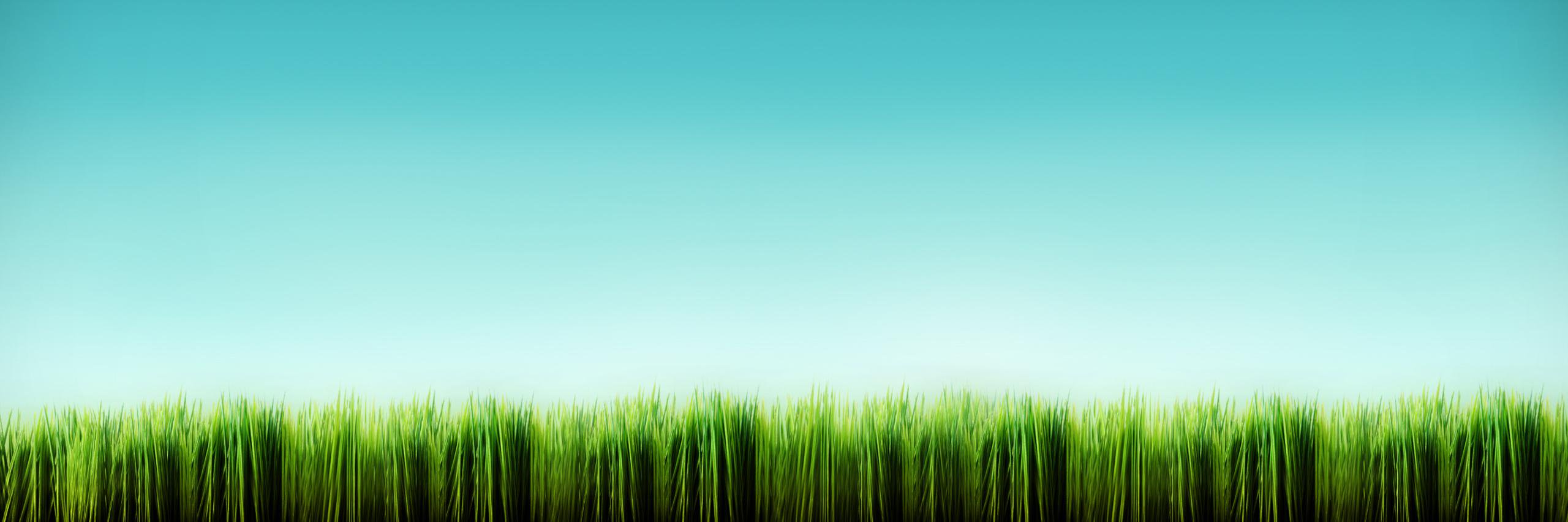 Pubbert's profile banner image