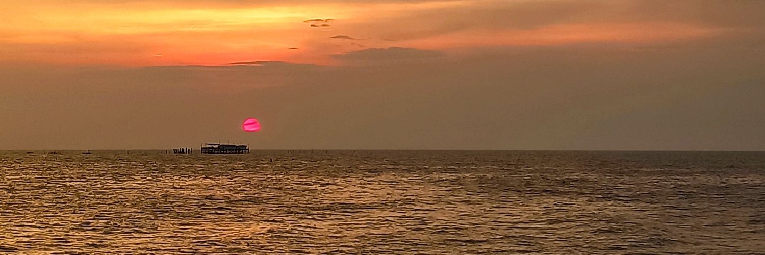 FantasyRose27's profile banner image