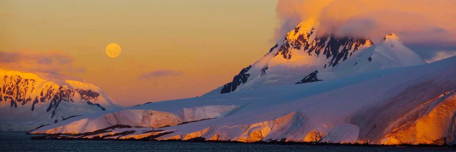 Elias Barticevic banner