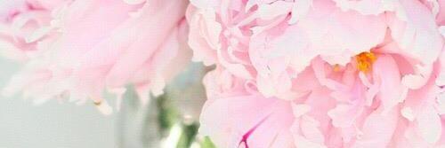 _xTesssa's profile banner image