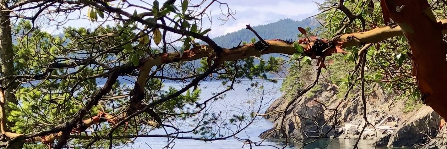 brianormiston's profile banner image
