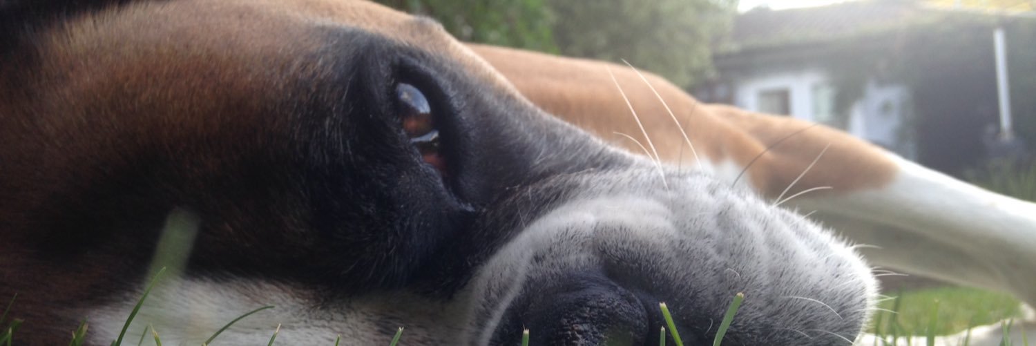 ukgig's profile banner image