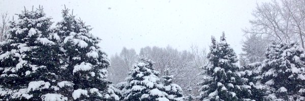 Jaylethal Profile Banner