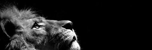 _dmayy's profile banner image