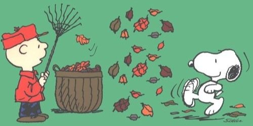 Carolina_Fey's profile banner image