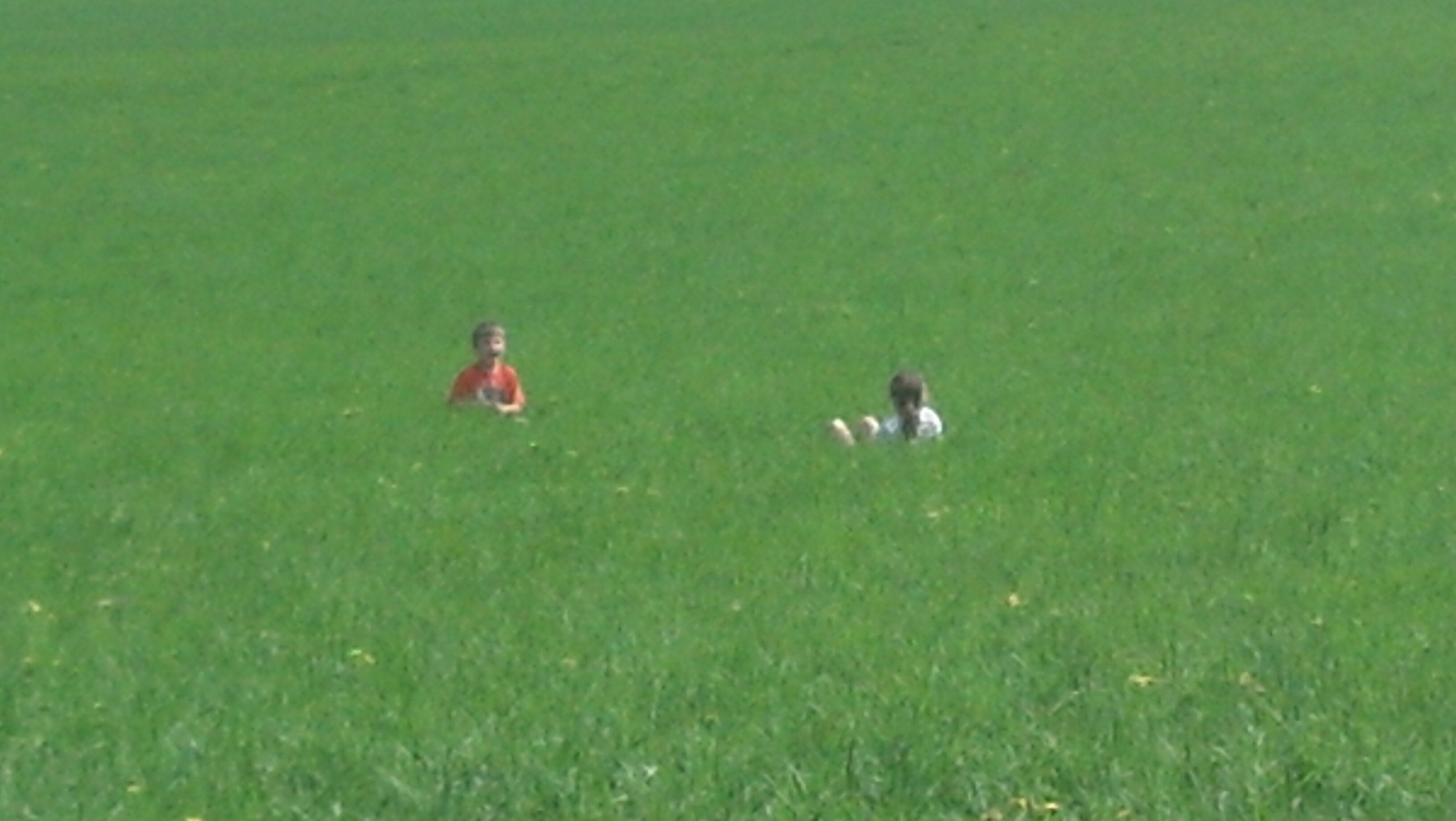 Rob Swackhammer banner