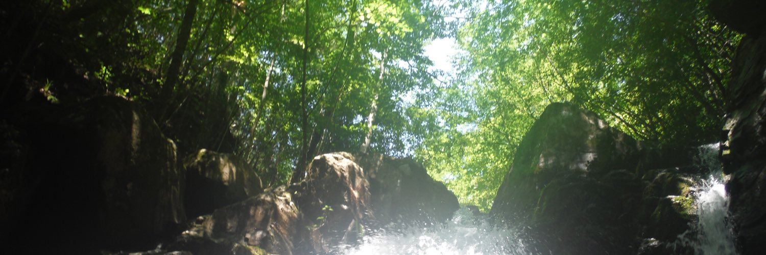 yurippe811's profile banner image