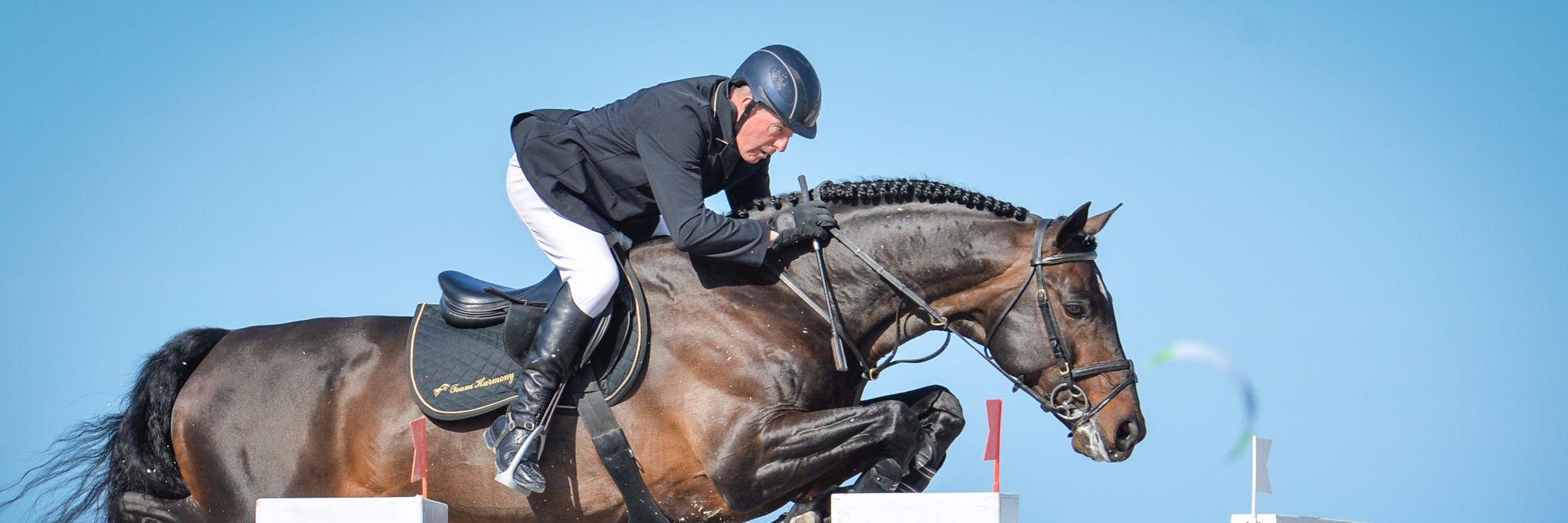 John Whitaker Int banner