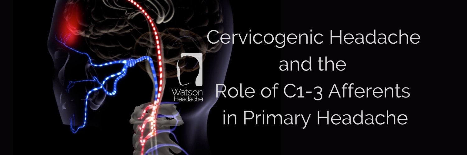 Dean Watson PhD banner