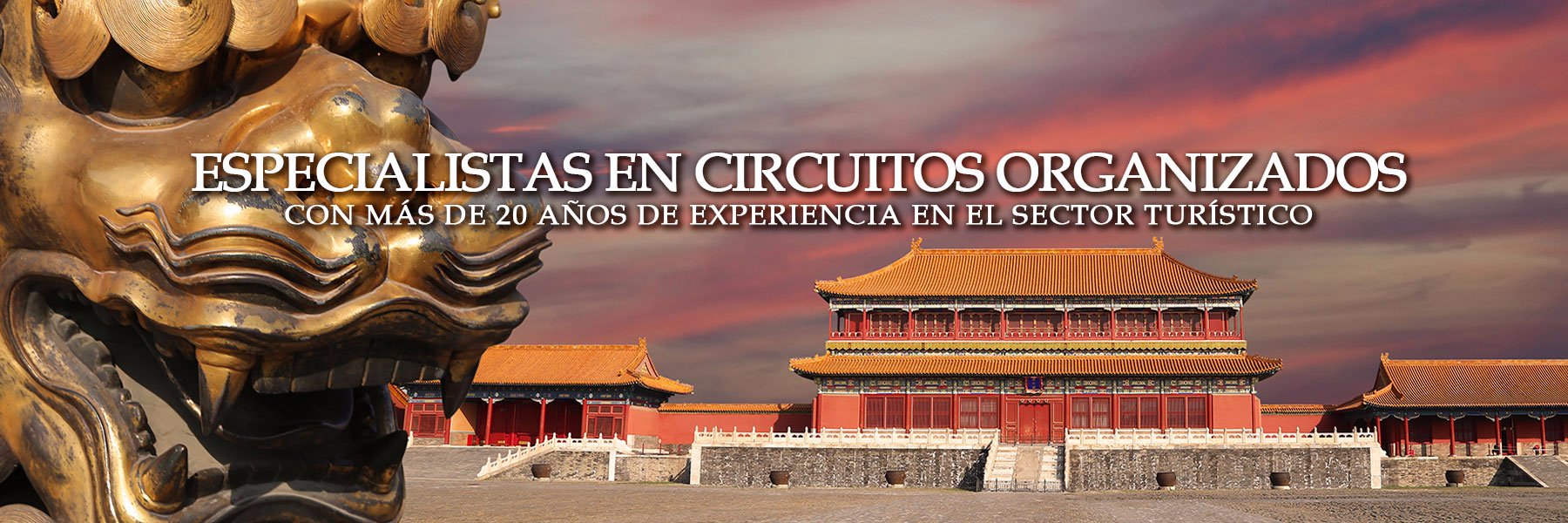 viajas's profile banner image