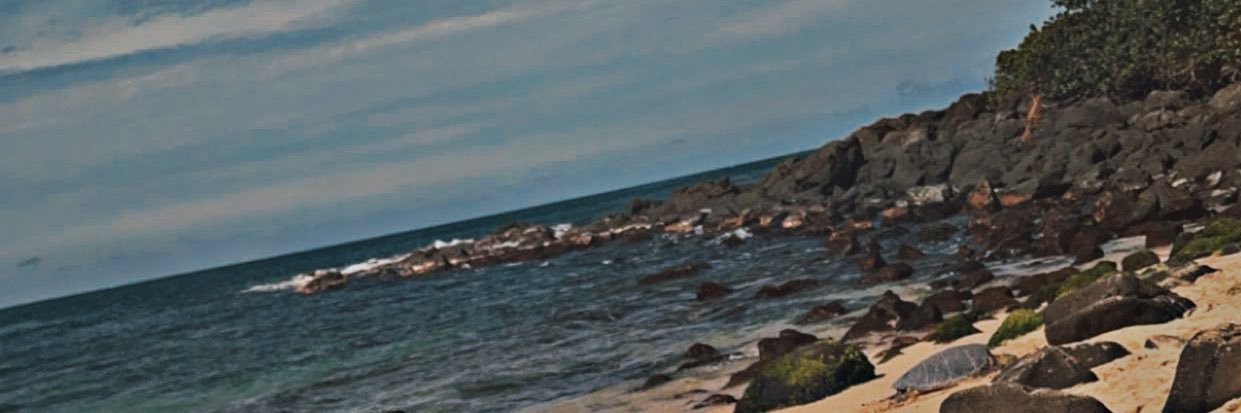 TheJeWay's profile banner image