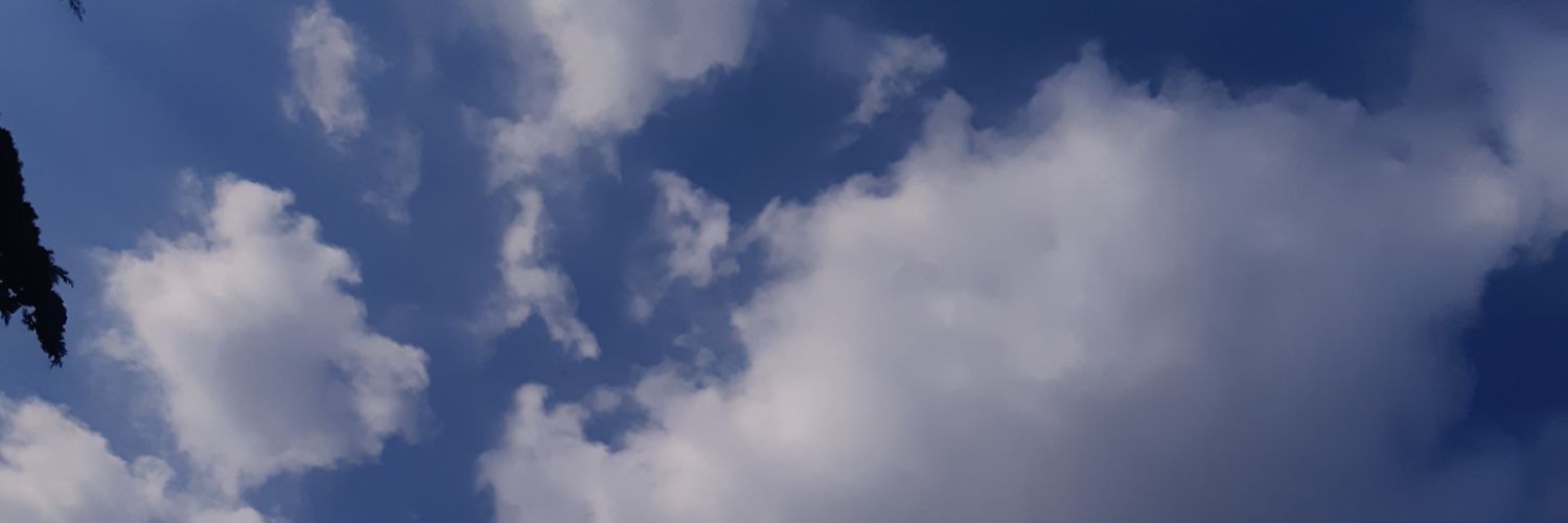 yosoy_lilo's profile banner image