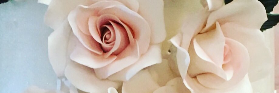 ipshitascakes's profile banner image